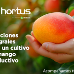 Programa Mango