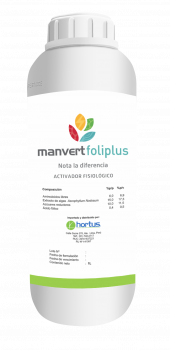 Producto